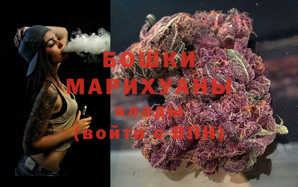 хмурый Верея