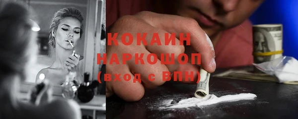 хмурый Верея