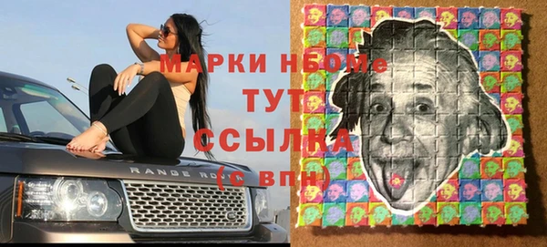 хмурый Верея