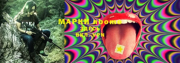 хмурый Верея