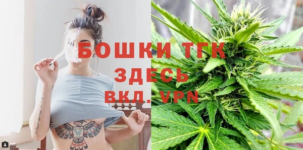 хмурый Верея