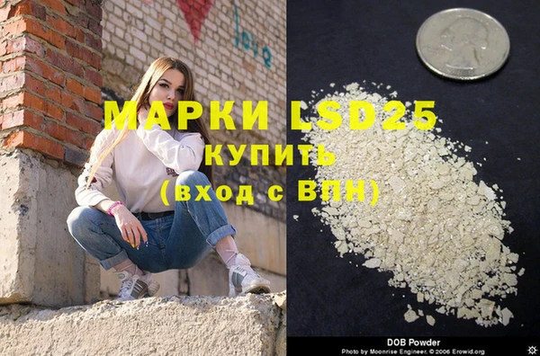 хмурый Верея