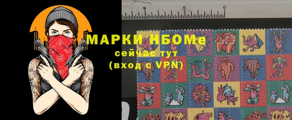 хмурый Верея