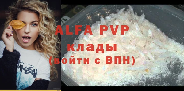 хмурый Верея