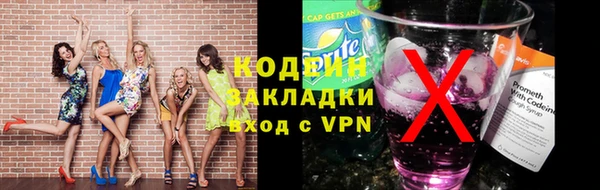 хмурый Верея