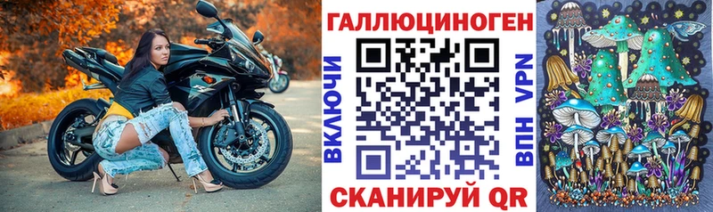 как найти закладки  Ростов  Псилоцибиновые грибы MAGIC MUSHROOMS 